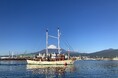 静岡県富士市 田子の浦港にて帆船オーシャンプリンセス号によるショートクルーズ開催