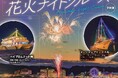 「冬の清水港」魅力創出へ、今年も清水港花火ナイトクルーズを開催!