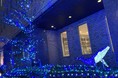 今年も本社周辺を彩るイルミネーション点灯