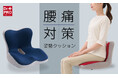 背中を支えて腰をいたわる！腰痛対策姿勢クッションで自然な座り姿勢をサポート！