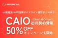 法整備とともに企業のAI導入対応が急務に「CAIO(Chief AI Officer)」導入支援特別キャンペーンを開始