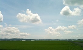 登米の田園風景
