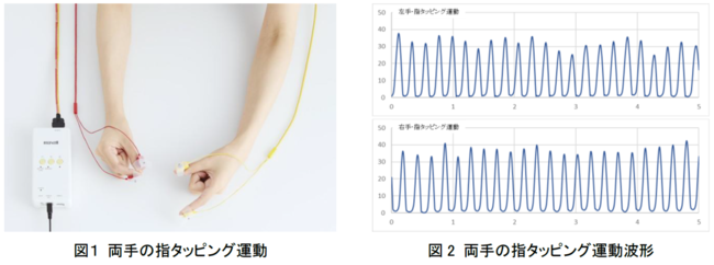 図１ 両手の指タッピング運動(左)、図2 両手の指タッピング運動波形(右)
