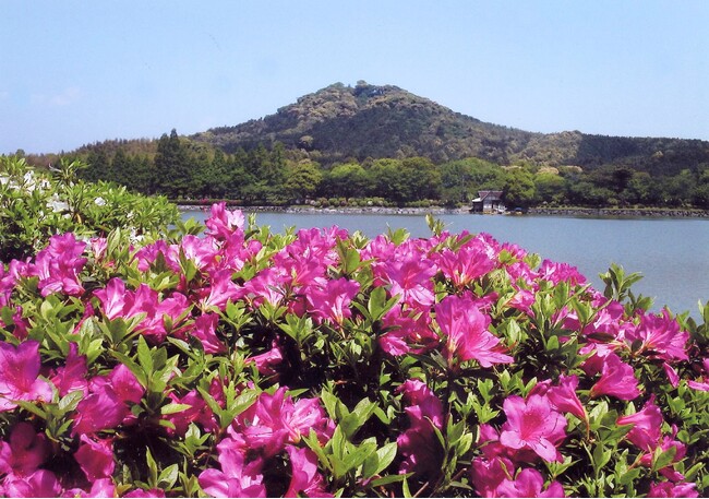 花立山と城山公園