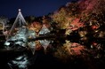 【文京区・肥後細川庭園】秋の紅葉ライトアップ「ひごあかり」、11月22日（土）から開催！深まる紅葉と竹あかりが織りなす幻想的な9日間。