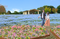 「花と光のムーブメント 舎人公園～ネモフィラと百花の花景色～」２０２６年４月１０日（金）～４月２６日（日）開催