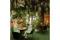 【GREEN×EXPO 2027】会場唯一のグリーンショップ（花と緑の販売拠点）！日比谷花壇グループが「サステナブル×五感体験型」のグリーンショップ＆カフェを出店内定