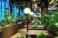 日比谷花壇、服部緑地の温浴施設における緑化デザインで「屋内緑化コンクール2026」一般社団法人日本ハンギングバスケット協会理事長賞を受賞