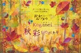 花と光のムーブメント 小金井公園～秋彩ものがたり～　2026年10月23日（金）～11月8日（日）開催