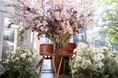ひと足早い満開の桜と春の花々に囲まれた撮影が叶う!期間限定フラワーフォトブースが「日比谷花壇 日比谷公園本店」に登場!