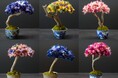 色鮮やかなドライフラワーが織りなす一点物の盆栽アート『HANA BONSAI』誕生!日比谷花壇 帝国ホテル店・なかのしま本店にて販売開始。