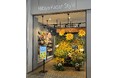 週末に2,000本の旬のひまわりがお出迎え!Hibiya-Kadan Style 海老名店、8月23日(土) にリニューアルオープン。