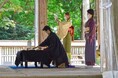高齢者デイで「特別なお茶会」を無料開催します!