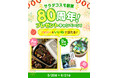 実は創業当初は「ラムネ」を製造していた　サラダコスモ創業80周年を記念したキャンペーンを実施