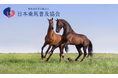 SDGs AICHI EXPO 2025に出展|乗馬の普及で引退競走馬のセカンドキャリアの持続可能性を考える!