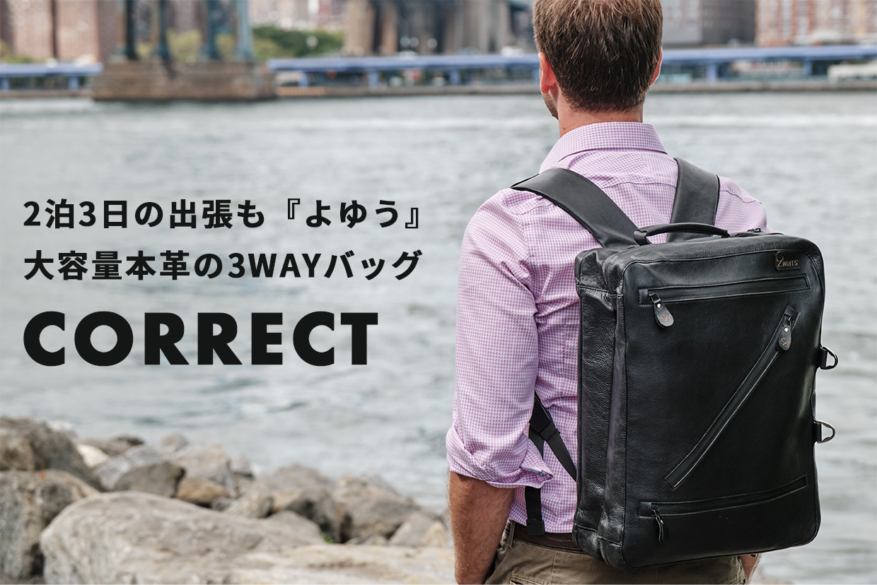 Amway World Plaza ビジネスバッグ 本革 - バッグ