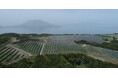 鹿児島・霧島メガソーラー発電所における FIP 制度への移行と併設蓄電池の設置について