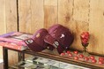 スポーツ・ライフスタイル・ブランド【’47(フォーティーセブン)】よりバレンタインに贈りたい、“チョコレート”カラーの新作キャップが発売!