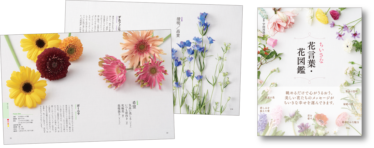 書籍 ちいさな花言葉 花図鑑 の限定版をamazon Co Jpにて発売 株式会社ユーキャンのプレスリリース
