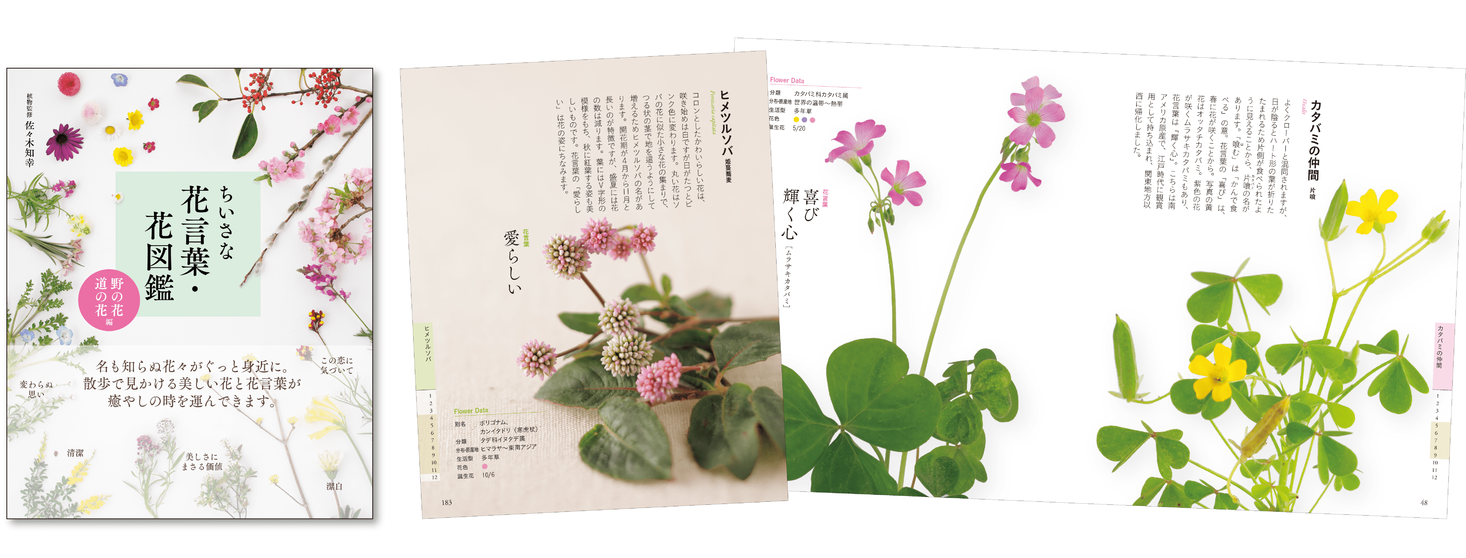 ちいさな花言葉 花図鑑 野の花 道の花編 を全国書店にて発売 株式会社ユーキャンのプレスリリース