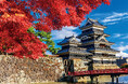 【秋の風情】日本の美しい紅葉景色を楽しめるジグソーパズル2商品を2025年9月に発売!