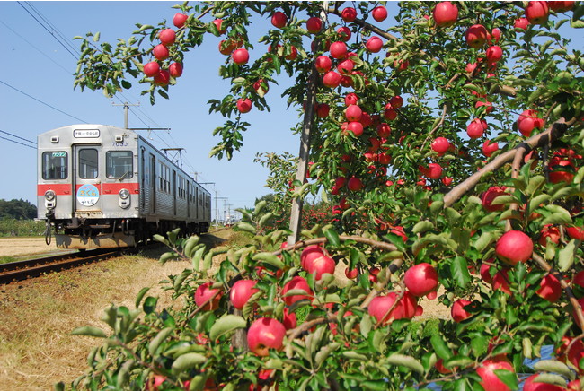 弘南鉄道大鰐線