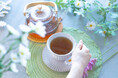 【うるばな宮古】忙しい日々の水分補給にプラス。水分補給の新しい定番「HaBidens HerbTea+/ハービデンス ハーブティープラス」がリニューアル発売