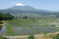 長野県 飯綱町 地域おこし協力隊を大募集します!