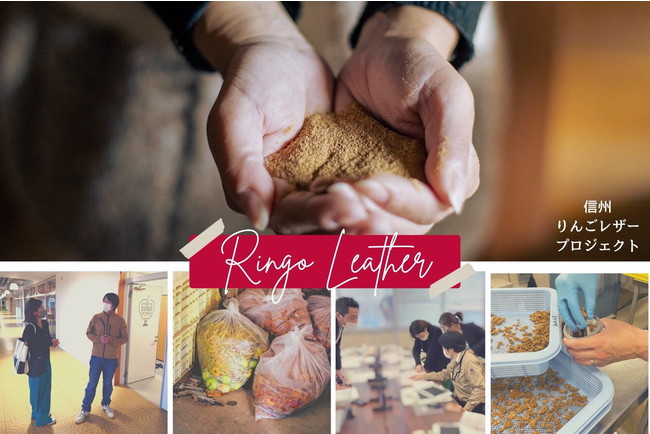 りんごレザーができるまで りんごレザーができるまで