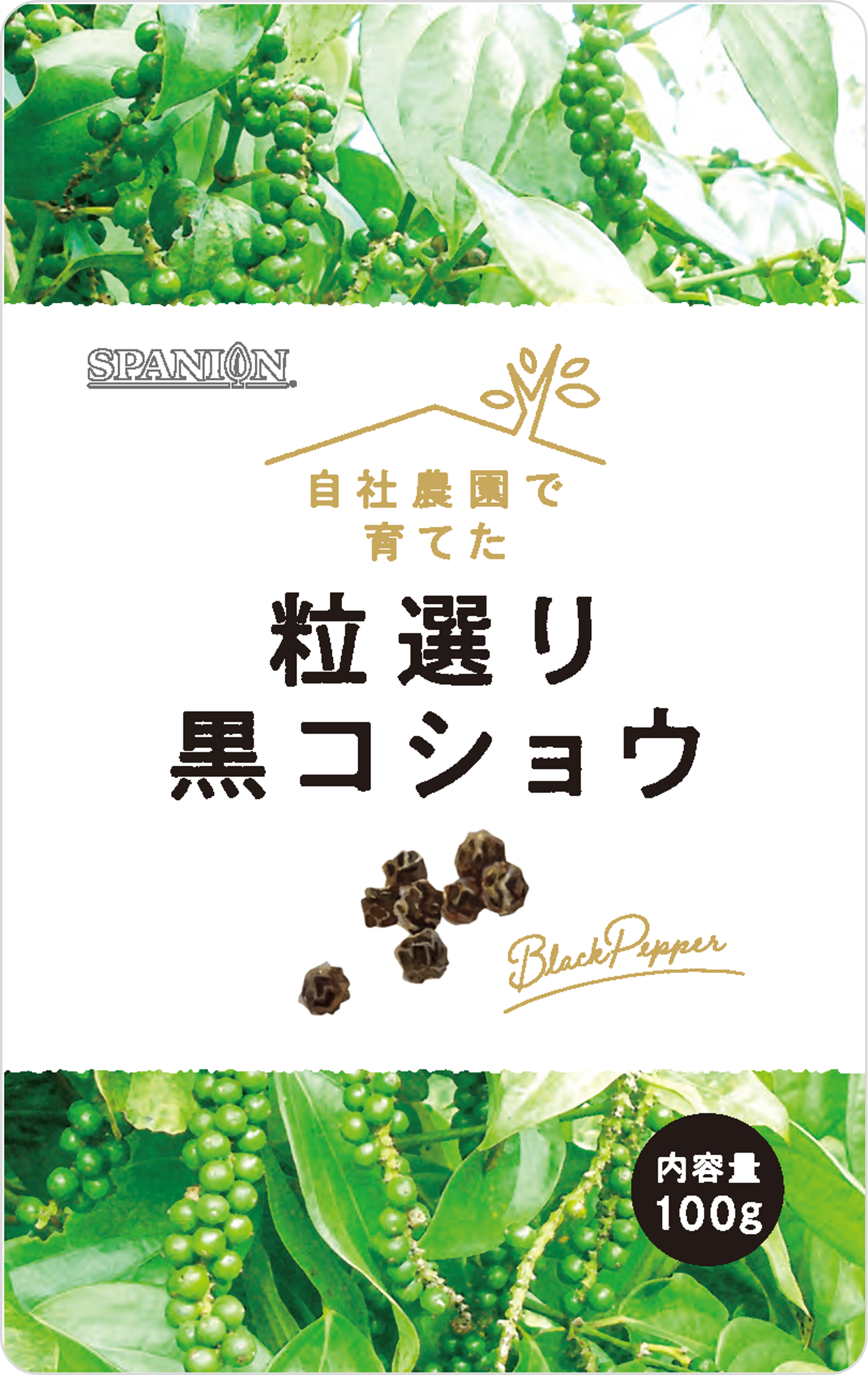 最大85%オフ! フワコヤ88 旧自然派倶楽部Mama'sイキな塩コショー 詰 ...