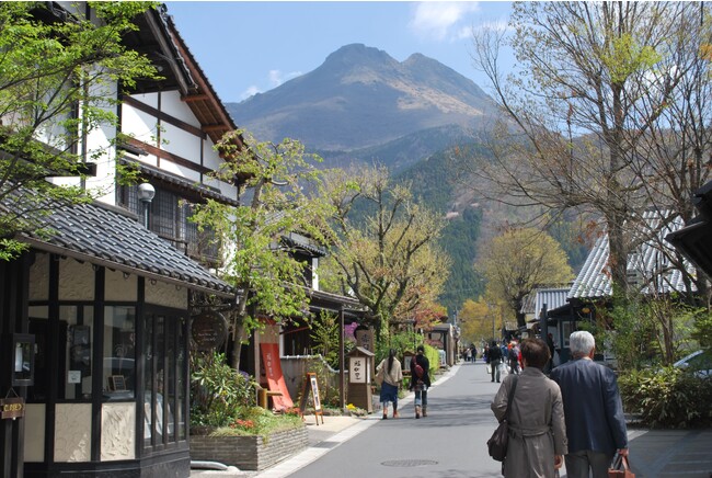 湯布院”湯の坪街道”