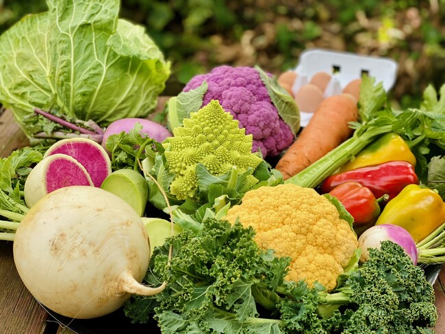 野菜(写真はイメージです) 野菜(写真はイメージです)