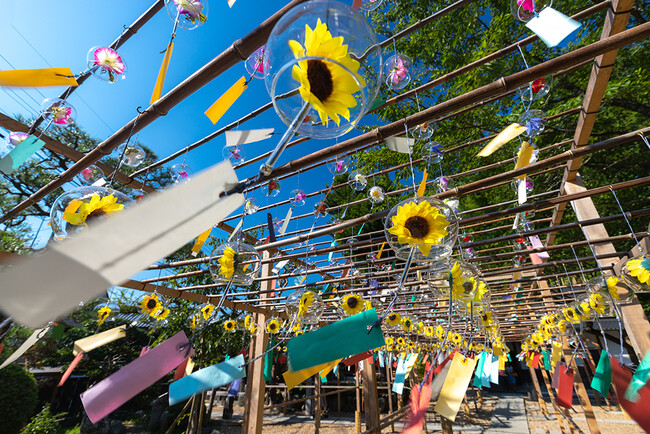 京都の夏、風鈴といえば　正寿院