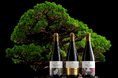 【オーセントホテル小樽】日本酒とワインの化学反応を愉しむ【ドメーヌ・クヘイジ】メーカーズディナーを開催いたします。