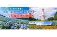 【小樽発着】新日本海フェリー"往路・新造船けやき"乗船！～空・海・花青の三重奏～大阪・ネモフィラ祭りと万博記念公園散策4日間 団体旅行発売開始！