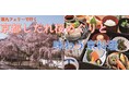 【北九州発着：阪九フェリー利用】 京都しだれ桜めぐりと京料理を味わう３日間の団体旅行販売開始