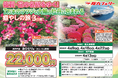 【阪九フェリー関西発団体ツアー】佐賀・花の名所をゆく！７万本のツツジと大輪の牡丹に包まれる癒しの旅３日間販売開始！