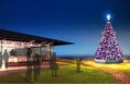 高さ4mのパープルツリーが、相模灘を望む園内随一の絶景スポットに登場　「ACAO FOREST CHRISTMAS 2025 - Royal Winter Reflection - 」