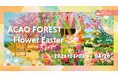 約70品種・3万球のチューリップが春を通して園内を彩る「ACAO FOREST - Flower Easter -」2026年３月1日（日）より開催！