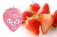 【タカノフルーツパーラー】1月15日はいちごの日