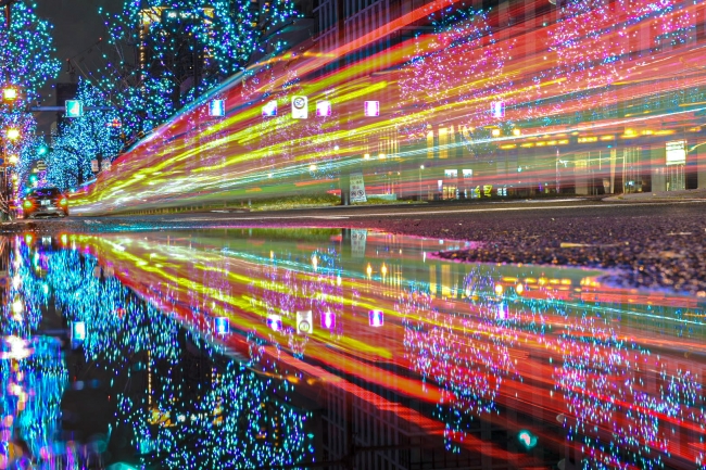 【御堂筋イルミネーション2019賞】@kyokun9962