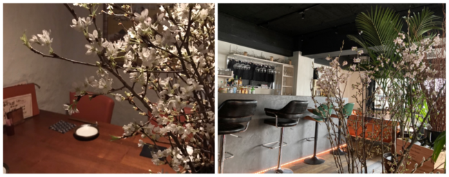 <左:十方 本店> <右:JIPPO LOUNGE MISHUKU> <左:十方 本店> <右:JIPPO LOUNGE MISHUKU>