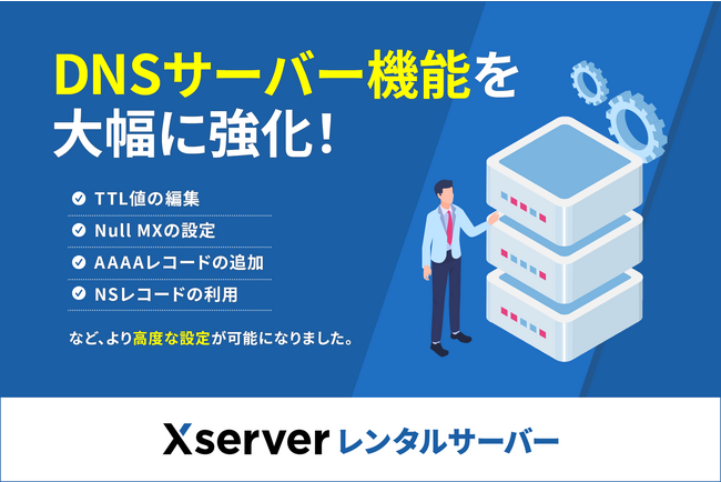 TTL値の編集やAAAAレコードなど、より高度な設定が可能に！ DNS