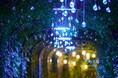 【冬の神秘的な自然とクリスマスをテーマにイルミネーションが新たに出現】「Moonlight Rose Garden2025」灯りと光のまほうにかかる時間（とき）第2部開催