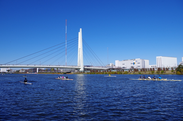 【埼玉県戸田市】東京2020オリンピック出場の荒川龍太選手が県内高校ボート部員を直接指導