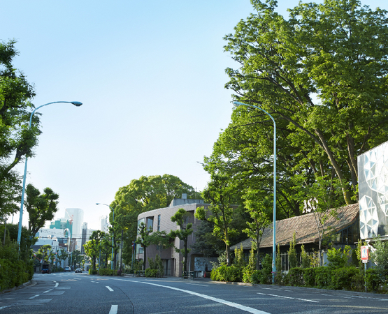 2013年6月撮影　旧山手通り