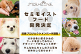 開発協力モニター犬を募集!プレミアムドッグフードを取り扱うミシュワンが【セミモイストフード】の開発を始動!
