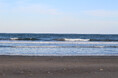 千葉県沖CCS試掘への意見123件、ほぼすべてが懸念・反対 - 情報開示で判明