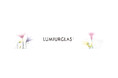 コスメブランド ルミアグラスが公式オンラインコミュニティLUMIURGLAS+(ルミアグラスプラス)を開設!