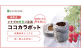 イチゴの育苗に最適な「ココカラポット」を新発売